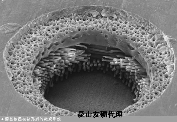 岳阳蔡司岳阳扫描电镜